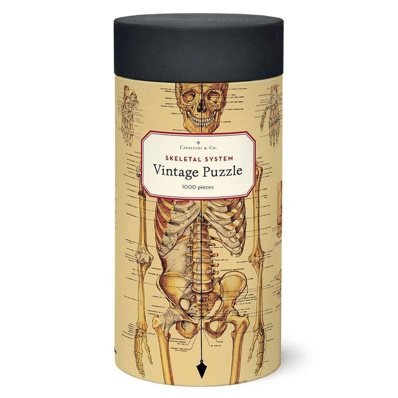 CAVANILLI & CO. Cavallini Papers & Co. Skeletal System 1,000 Piece Puzzle, Multi - Image 1